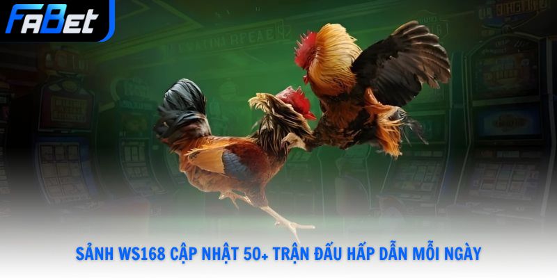 Sảnh WS168 cập nhật 50+ trận đấu hấp dẫn mỗi ngày