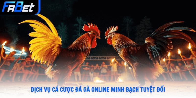Dịch vụ cá cược đá gà online minh bạch tuyệt đối