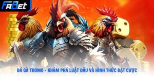 Đá gà Thomo